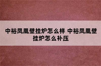 中裕凤凰壁挂炉怎么样 中裕凤凰壁挂炉怎么补压